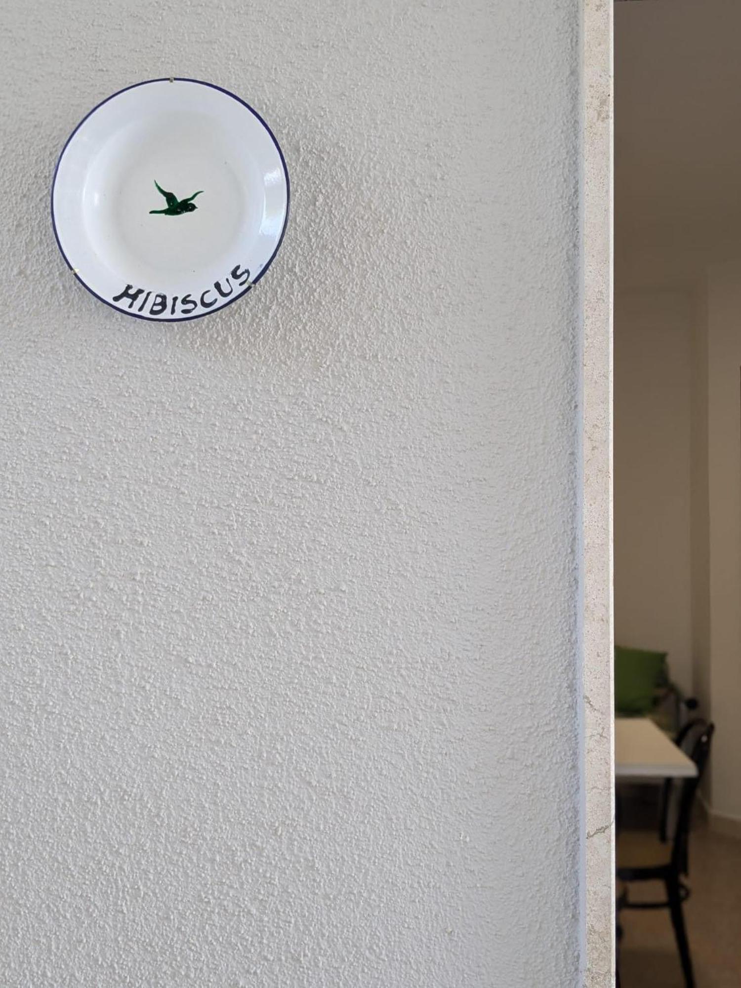 Albatro Mare Daire Marina di Mancaversa Dış mekan fotoğraf